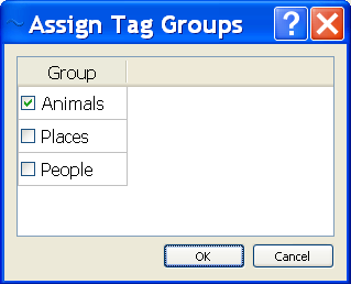 Assign Tag Groups