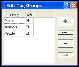 Edit
        Tag Groups